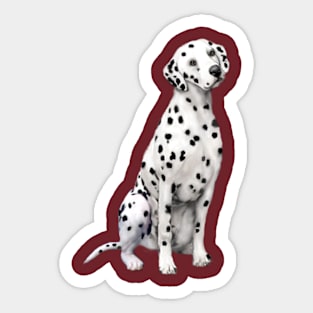 A Dalmatian - Just the Dog Sticker